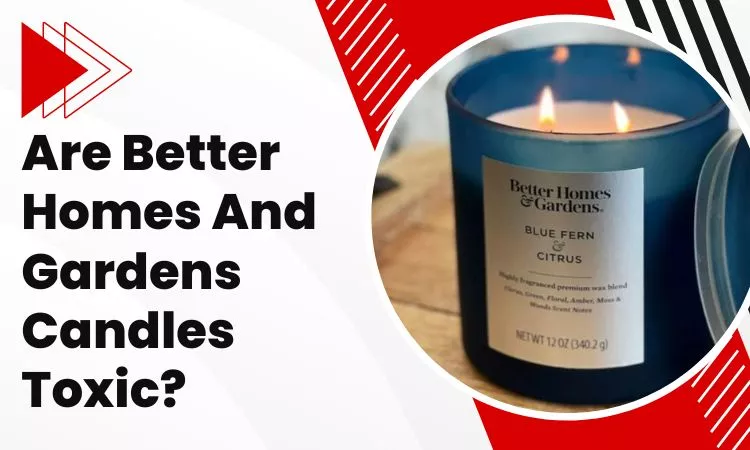 Are Better Homes And Gardens Candles Toxic